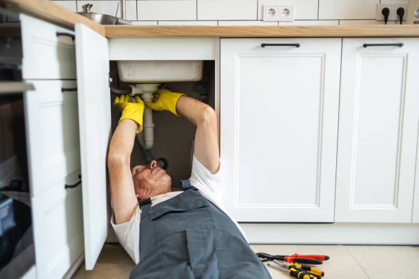 Best Plumbing Services Near Me  in Cedar Rapids, IA